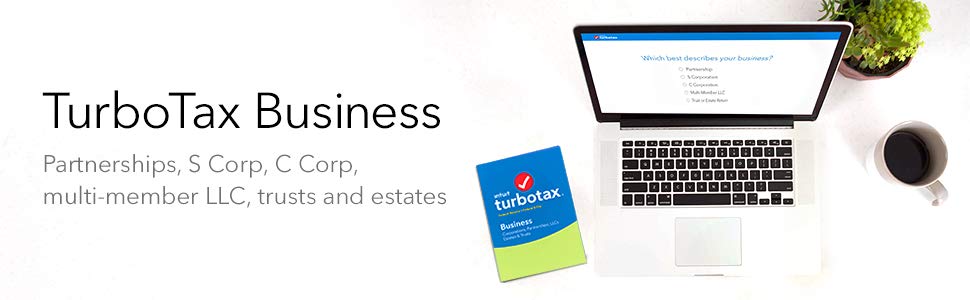 turbotax 2017 home and business server